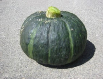 Kabocha Squash