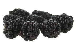 Blackberries Basket