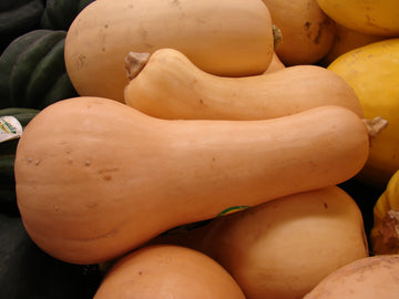 Butternut Squash Each