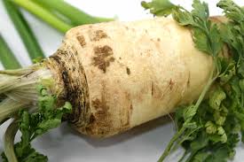 Celery Root LB