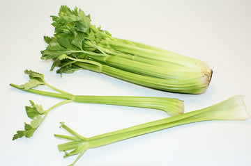 Celery Stalk