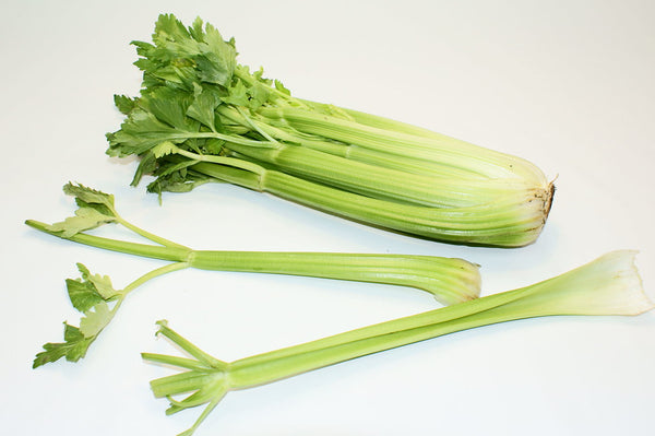 Celery Stalk