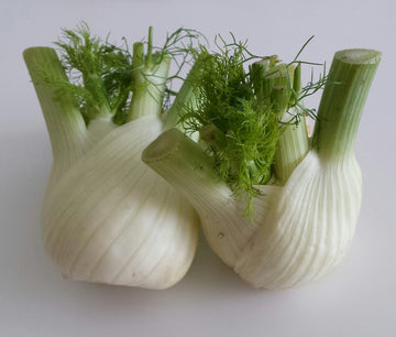 Fennel Each