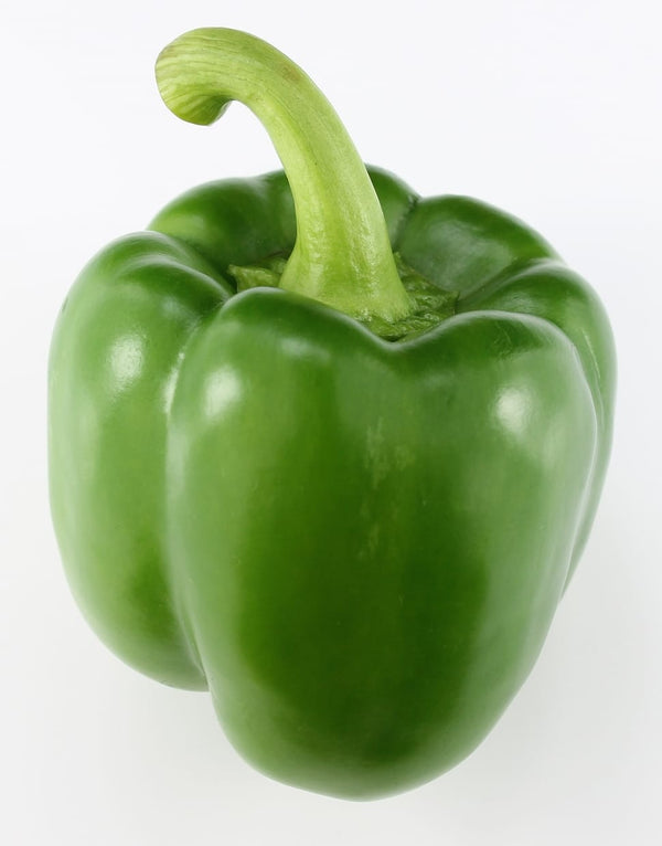 Green Bell Pepper LG LB