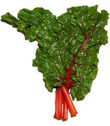 Swiss Chard Red Bunch