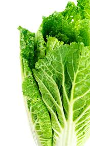 Romaine Lettuce Each