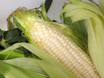 White Corn Each