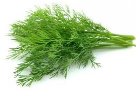 Herbs Dill Each