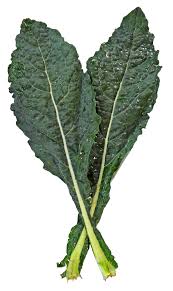 Dino Kale Each