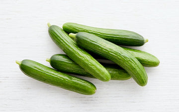 Cucumber Persian LB