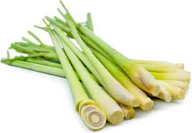 Lemon Grass - Half Pound