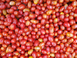 Red Cherry Tomato Basket